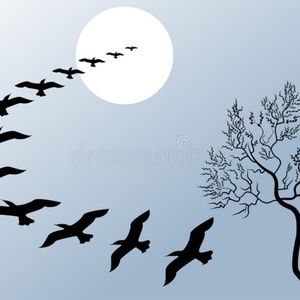 Meet your Posher, Priscilla